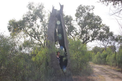 Martin Bend Wetland And Walking Trail - Accommodation Yamba 1