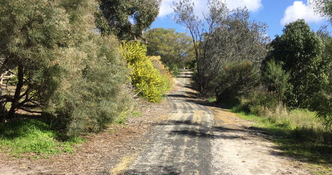 Naracoorte North Nature Park - Accommodation Yamba 0
