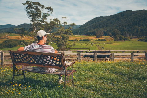 North - North East - Accommodation Yamba 0