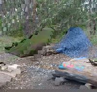 Northbrook Mountain Bush Camp - Accommodation Yamba