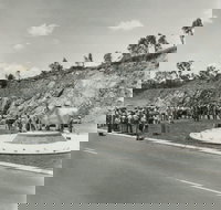 Rockhampton Bull Statues - Accommodation Yamba