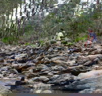 Rocksberg Park Heritage Reserve - Accommodation Yamba