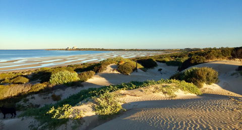 Shelly Beach Dune Walk Trail - Accommodation Yamba 0