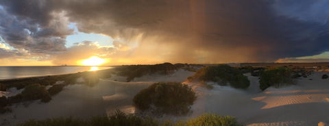 Shelly Beach Dune Walk Trail - Accommodation Yamba 2