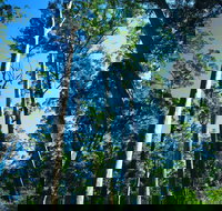 The Four Aces - Accommodation Yamba