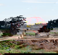 Turbo Buggy Ride - Accommodation Yamba