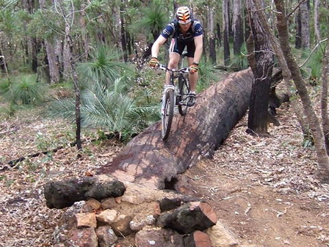Turner Hill Mountain Bike Trail, Murray - Accommodation Yamba 0
