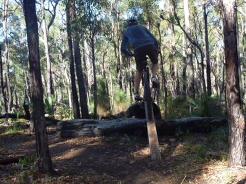 Turner Hill Mountain Bike Trail, Murray - Accommodation Yamba 1