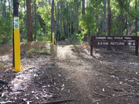 Turner Hill Mountain Bike Trail, Murray - Accommodation Yamba 2