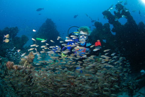 Aarhus Dive Site - Accommodation Yamba 0