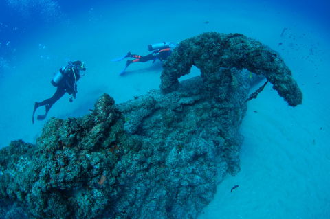 Aarhus Dive Site - Accommodation Yamba 1