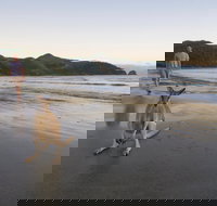 Cape Hillsborough National Park - Accommodation Yamba