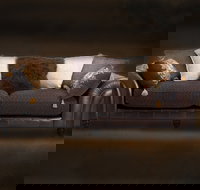 Cargo Lane - Accommodation Yamba