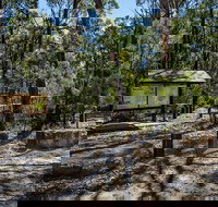 Couridjah Corridor Walk - Accommodation Yamba