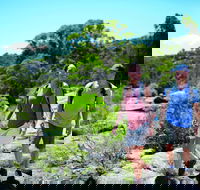 Eukey - Accommodation Yamba