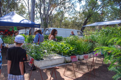Fernvale Country Markets - Accommodation Yamba 0