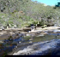Frere's Crossing Bushwalk - Accommodation Yamba