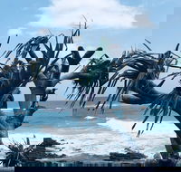 Hastings Point Beach - Accommodation Yamba