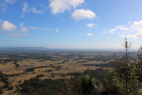 Heaton State Forest - Watagan Mountains - Accommodation Yamba 0