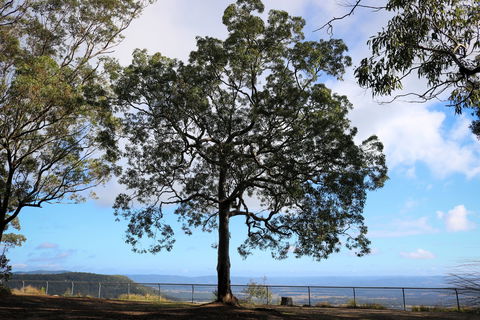 Heaton State Forest - Watagan Mountains - Accommodation Yamba 2