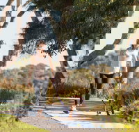 Meningie Walking and Cycling Trails - Accommodation Yamba