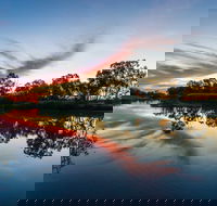 Mitchell - Accommodation Yamba