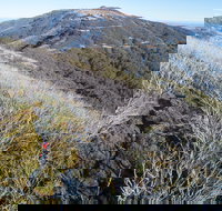 Mt Buller Bike Park - Accommodation Yamba