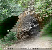 Mushroom Tunnel - Accommodation Yamba