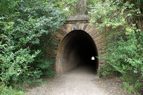 Mushroom Tunnel - Accommodation Yamba 0