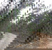 Paddys Ranges State Park - Accommodation Yamba