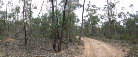 Paddys Ranges State Park - Accommodation Yamba 0