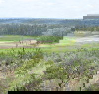 Princess Hills Girringun National Park - Accommodation Yamba