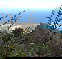 Strzelecki Peaks Great Short Walk - Accommodation Yamba