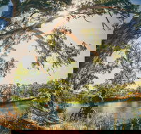 Sturt Gorge Recreation Park - Accommodation Yamba