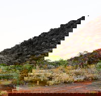 Whyalla Conservation Park - Accommodation Yamba