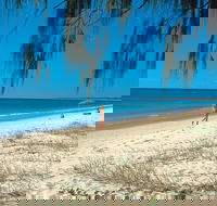 Woodgate Beach Park and Playground - Accommodation Yamba