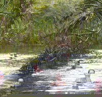 Berry Springs - Accommodation Yamba