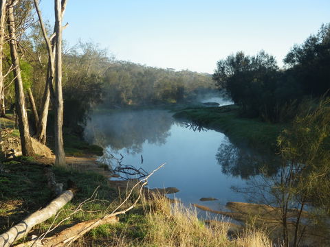 Bilya Walk Track - Accommodation Yamba 0