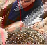 Capricorn Way - Accommodation Yamba