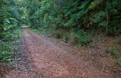 Cascade Mountain Bike Trail - Accommodation Yamba 0