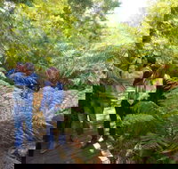 Endeavour Fern Gully Walks - Accommodation Yamba