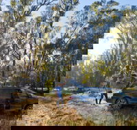 Forest Drive Murrumbidgee Valley National Park - Accommodation Yamba