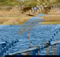 Groper Creek - Accommodation Yamba
