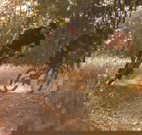 Kholo Gardens Trails - Accommodation Yamba