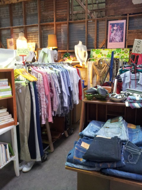 Kongwak Market - Accommodation Yamba 1