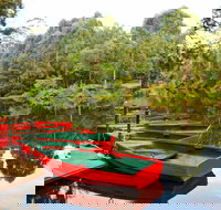 Lane Cove National Park - Accommodation Yamba