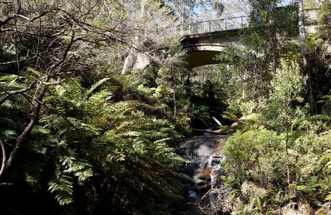 Leura Cascades - Accommodation Yamba 2