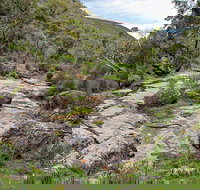 Lynchs Loop Trail - Accommodation Yamba