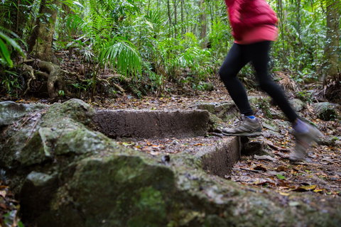 Maiala - Accommodation Yamba 0