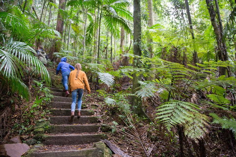 Maiala - Accommodation Yamba 1